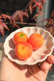 Tangerines Lukchup: Loveliness